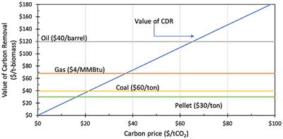 Assessing the optimal uses of biomass: Carbon and energy price conditions for the Aines Principle to apply